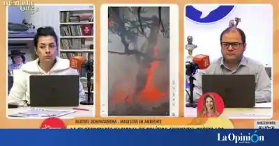 Reforma de la Ley de Tierras: la alerta de una exfuncionaria por el avance extranjero y los cambios en el manejo del fuego