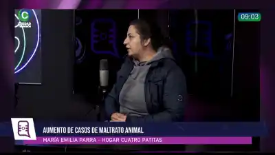 El dramático alerta de una proteccionista chaqueña: "Ya va a llegar un momento que no vamos a tener más espacio para albergar perritos"