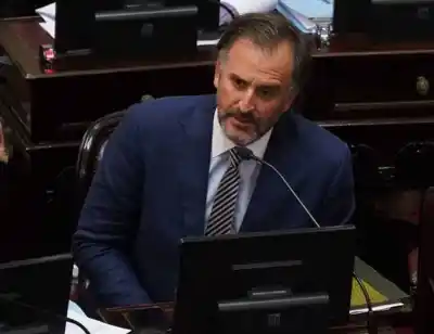 Benegas Lynch tildó de 'tibios' a los aliados y provocó la furia de un senador santacruceño