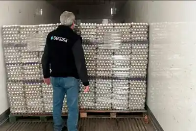 Hallaron 308.880 huevos sin permiso sanitario en plena ruta: el destino final era Paraná