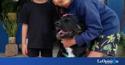 El milagro de la solidaridad: “Capitán” ya corre feliz en Formosa junto a los suyos
