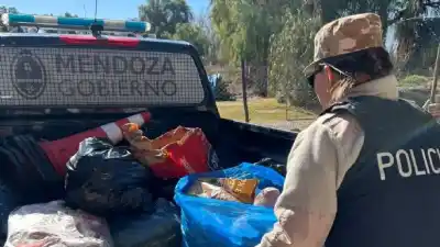 El insólito hallazgo en un comercio de San Martín que derivó en un importante secuestro