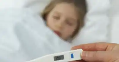 Alerta en Salta: el 55% de los casos de gripe son niños y adolescentes