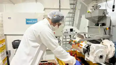 Gomitas a pleno: la planta de Arcor en Recreo apunta a un récord de 30 mil toneladas y suma energía solar