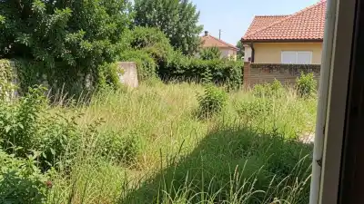 El drama de una vecina de Plottier: su casa fue dañada por árboles de un terreno abandonado