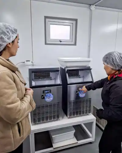 De una idea a 160 kilos de hielo por día: la apuesta fueguina que conquista Río Grande