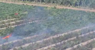 Alerta en Ramallo: cuatro incendios en siete meses amenazan una planta de combustibles
