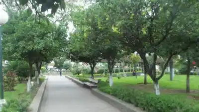 Misterio en Jujuy: una abuela de 89 años murió en pleno paseo