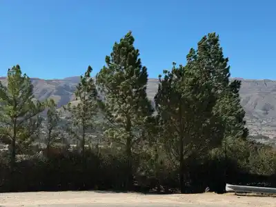 Alerta amarilla por viento Zonda: los Valles Calchaquíes en la mira