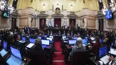 La ley que impulsa Milei dividió a los senadores santafesinos: ¿quién votó a favor y quién en contra?