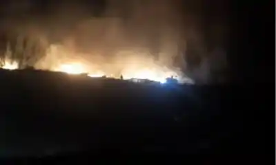 Alerta en Ruta 7: un incendio de pastizales movilizó a 25 bomberos y estuvo cerca de una empresa