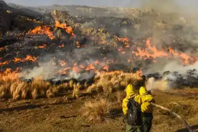 Alerta extrema: el riesgo de incendios se mantendrá crítico todo el fin de semana