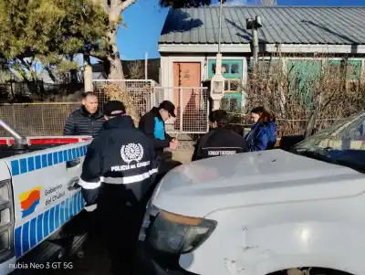 Allanamiento por maltrato animal en Diadema: tres perros fueron rescatados de una vivienda