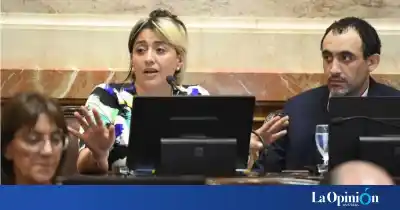 El gesto que delató el quiebre: dos senadores de Santa Cruz se fueron de un chat clave tras votar en contra