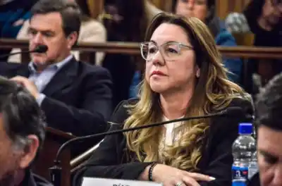 Sacudón en el Senado: otra legisladora del PJ se va y arma un nuevo espacio político