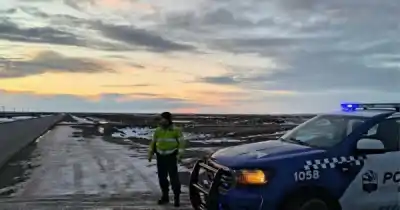 Nieve y guanacos en la ruta: el operativo que busca evitar tragedias en Santa Cruz