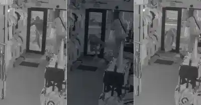 City Bell: el violento 'patadón' que destrozó la puerta de un local y quedó filmado