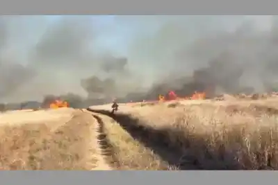 El fuego arrasó pastizales y estuvo a punto de quemar 200 vacas: qué pasó en la zona oeste