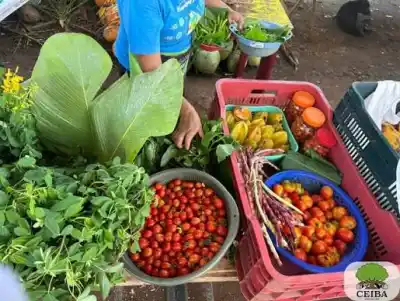 Productos frescos, moda circular y canje de residuos: la Feria Agroecológica vuelve a Monte Cristo