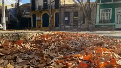 Alerta en Mendoza: el Zonda golpea la precordillera y el frío no da tregua