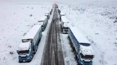 25 días sin cruzar la cordillera: el drama de los exportadores sanjuaninos