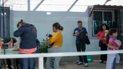 Atención gratuita para mascotas en la Ciudad: los puntos y requisitos para acceder