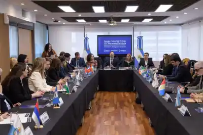 San Luis, presente en el Plenario del Consejo Federal del Trabajo: qué se definió