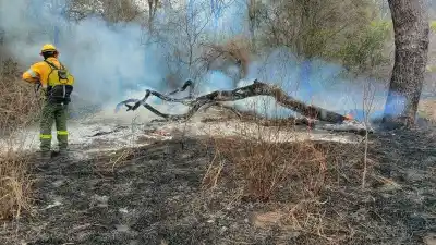 Viento y fuego en Jujuy: la alerta de los bomberos que nadie debería ignorar