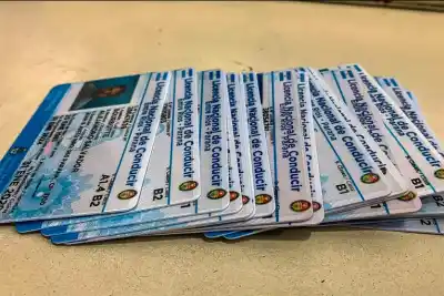 Sauce de Luna: qué trámites siguen habilitados tras la suspensión de nuevas licencias