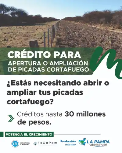Incendios rurales: los requisitos para abrir picadas cortafuegos y el crédito de hasta $30 millones