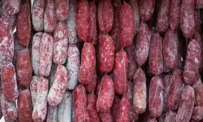 Asaltaron un criadero en San Martín y se llevaron un freezer lleno de carne