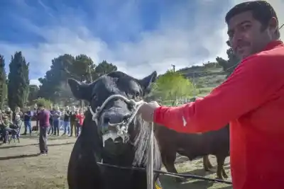 El campo en Patagones vive un momento único y el presidente de la Rural anticipa un año soñado