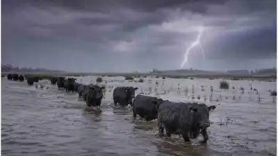 El plan de Santa Fe contra El Niño: una plataforma que conecta campos, comida y transporte en tiempo real