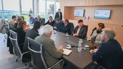 El costo eléctrico que ahoga a los aserraderos: ¿qué respuesta prepara la provincia?