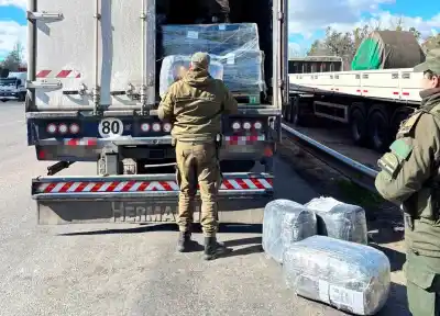 Descubren 115 kilos de hojas de coca en encomiendas que viajaban de Salta a Buenos Aires