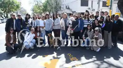 Huyó tras atropellar a una perra en Salta y ahora buscan crear una ley en su nombre