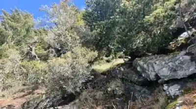 Tragedia en el Nahuel Huapi: una nena de 3 años murió tras el desbarranque del auto familiar