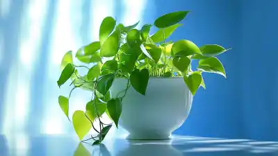 El secreto de la NASA para limpiar el aire de tu casa está en una planta que ya tenés