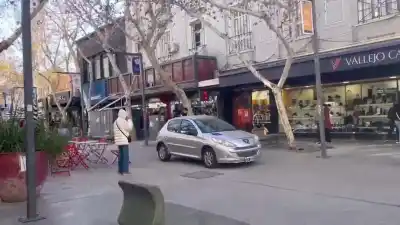 Se metió con su auto en la Peatonal y las imágenes sorprendieron a todos