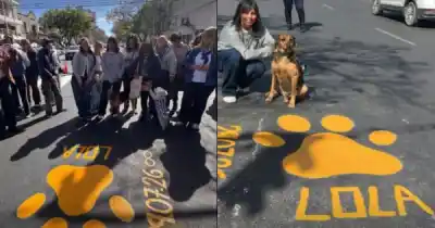 La huella que no se borra: pintaron la primera 'Patita Amarilla' en Salta por Lola