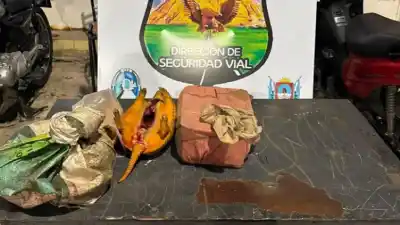 Un control de rutina destapó un insólito hallazgo en el Puesto Caminero de Sumalao