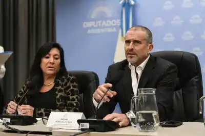 El plan del oficialismo para aprobar dos reformas clave antes de que termine agosto