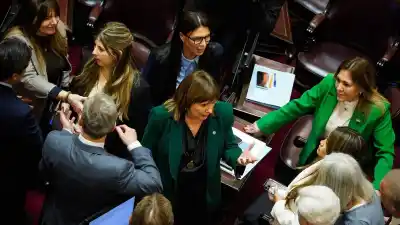 El revés de Bullrich: el proyecto que nació muerto y la interna que explota en el Senado