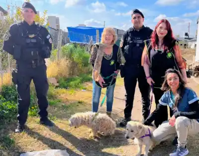Los encontraron atados con sogas al cuello: el dramático rescate de dos perros en San Luis
