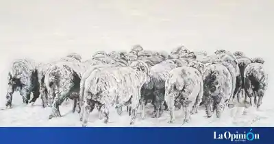 Una santacruceña llegó a la final del Premio Federal de Pintura y su obra tiene un detalle que emociona