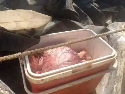 El insólito hallazgo en una camioneta que terminó con 160 kilos de carne decomisados