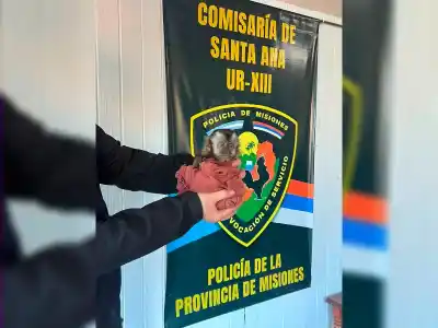Apareció un mono en su casa y el operativo de rescate sorprendió a todos