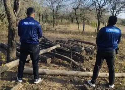 El insólito hallazgo que hizo la policía en una vivienda de El Lirio