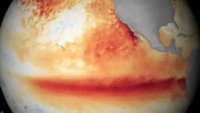 Alerta en la Patagonia: el cambio climático y El Niño podrían expandir el mapa del hantavirus