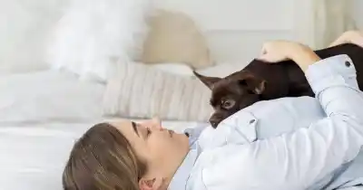 El dilema de compartir la cama con tu mascota: ¿amor incondicional o riesgo para tu descanso?